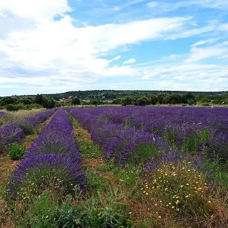 Hébergement de vacances Du Grand Chêne